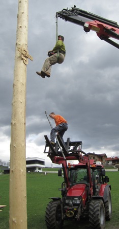 maibaum 02