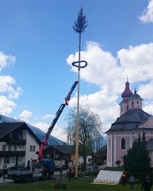 Baum aufstellen 1