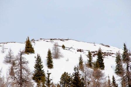 fronstadleralm kreuz 03