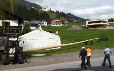 Maibaum stellt die Pfarre auf