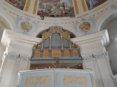 Die Arbeiten an der Orgel in der Dreifaltigkeitskirche haben begonnen